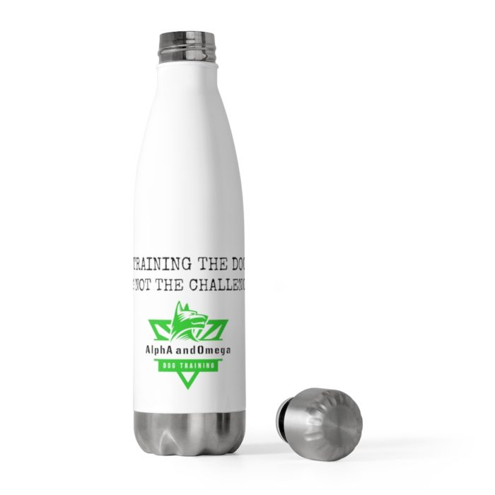 20oz Insulated Bottle - Image 5