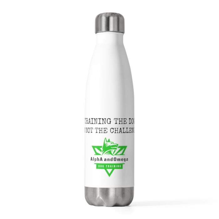 20oz Insulated Bottle