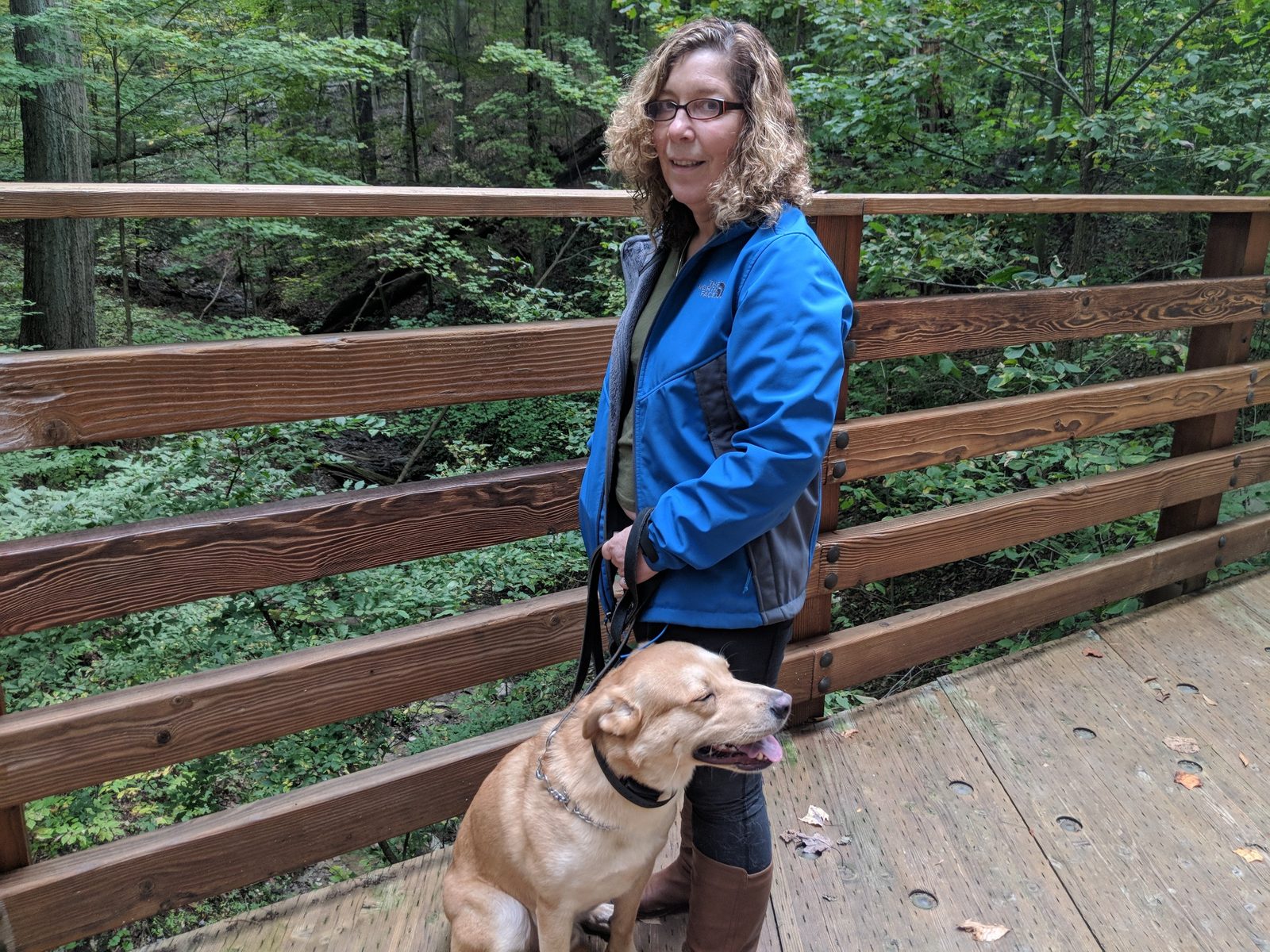 Real-world dog training with an owner on a Northeast Ohio trail