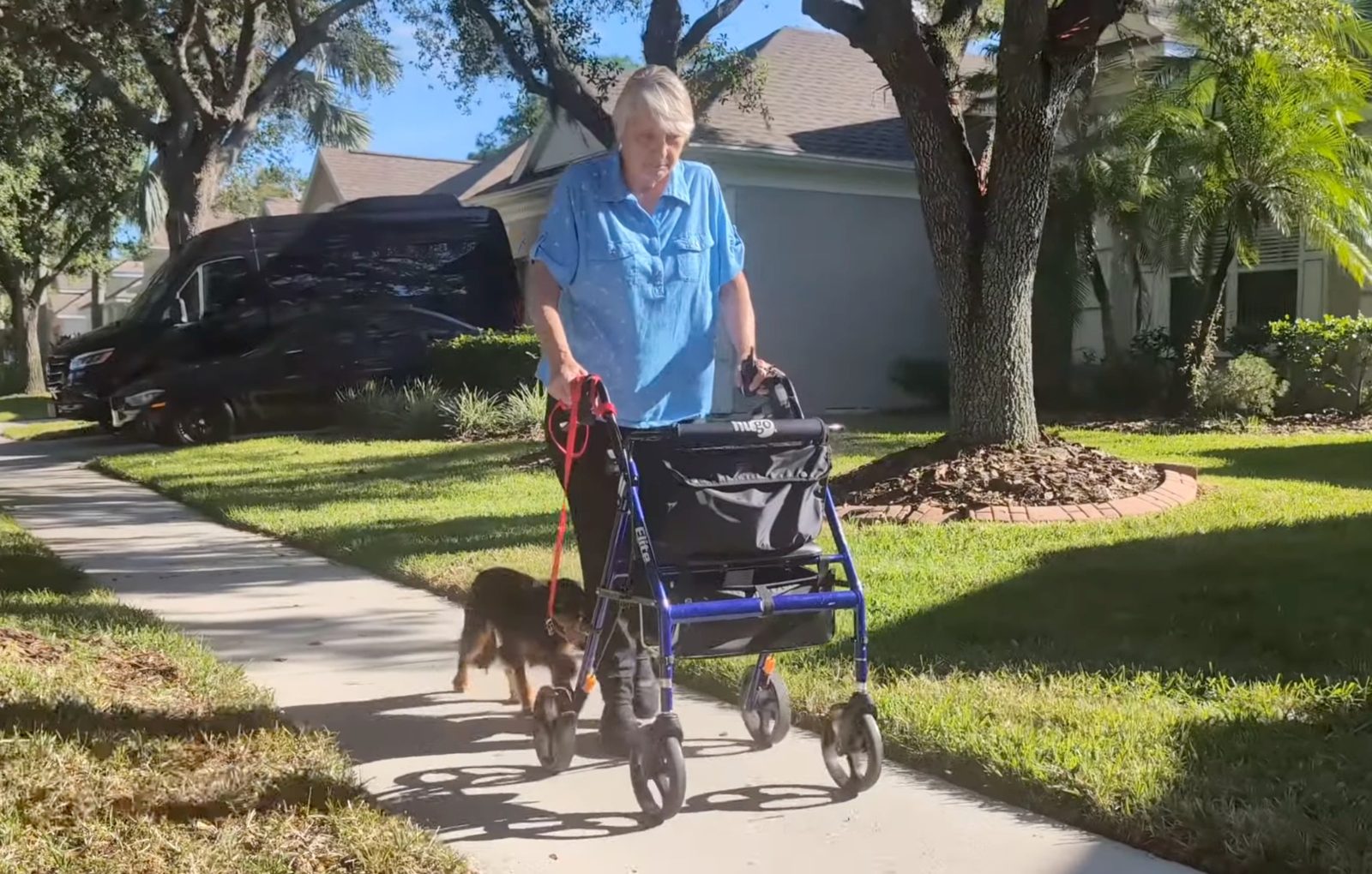 Senior owner using a walker while her Cavalier King Charles Spaniel walks calmly on leash beside her on a Cross Creek sidewalk
